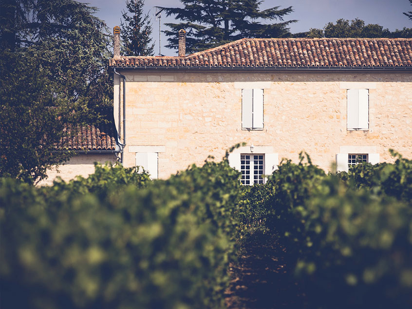 Maison en pierre entourée de végétation